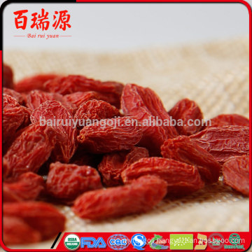 Where can you buy goji berries wolfberry fruit where can i find goji berries